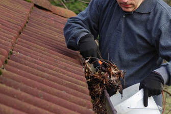 Gutter service expert cleaning leave out of a clogged gutter on a roof with terra cotta tiles.